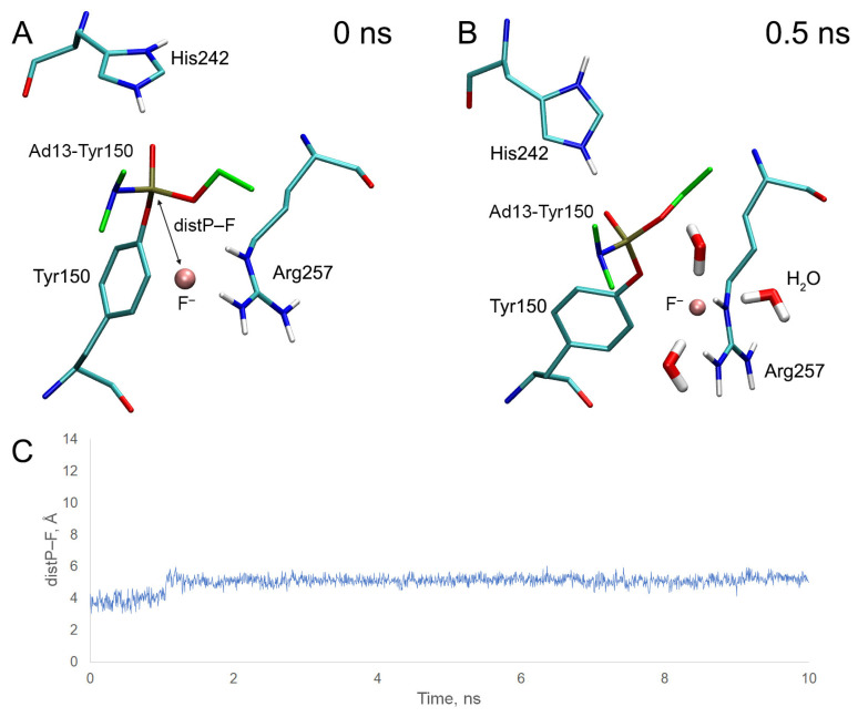 PMC10573431 – ijms-24-14819-f015