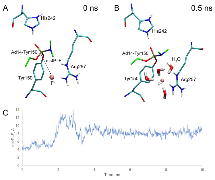 PMC10573431 – ijms-24-14819-f016