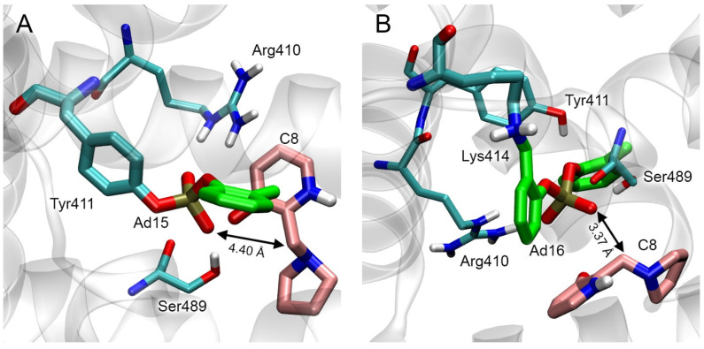 PMC10573431 – ijms-24-14819-f017