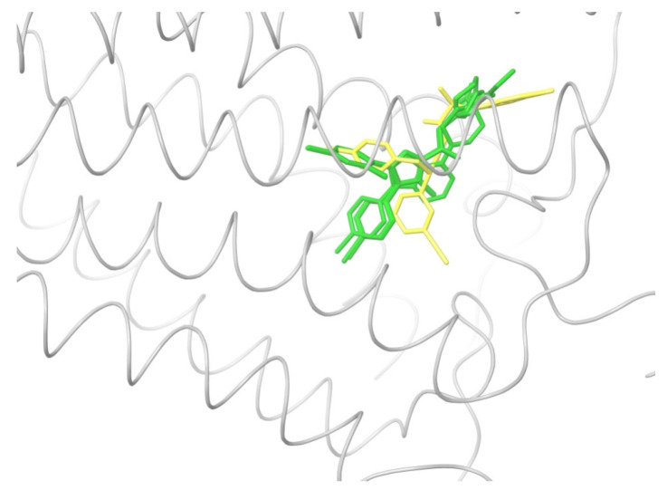 PMC10574015 – ijms-24-14874-f003