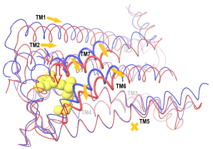PMC10574015 – ijms-24-14874-f008