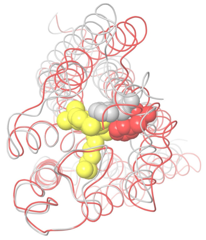 PMC10574015 – ijms-24-14874-f010