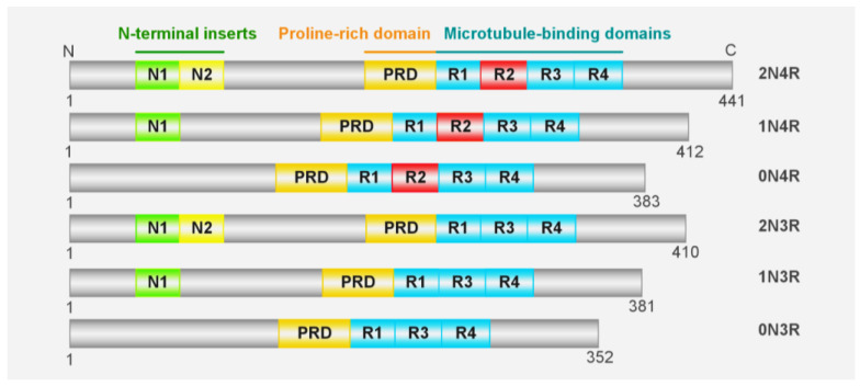 PMC10573976 – ijms-24-15023-f001