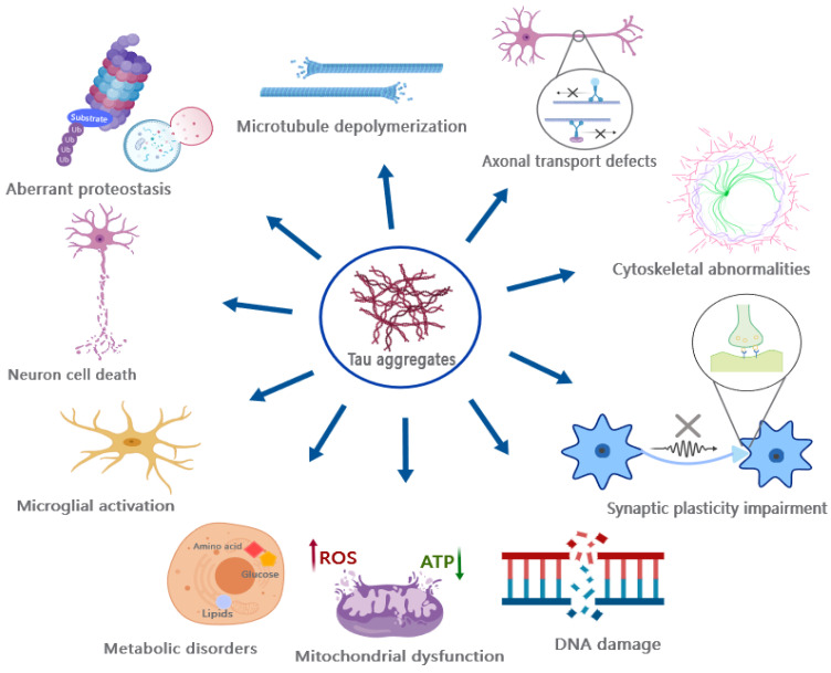 PMC10573976 – ijms-24-15023-f005