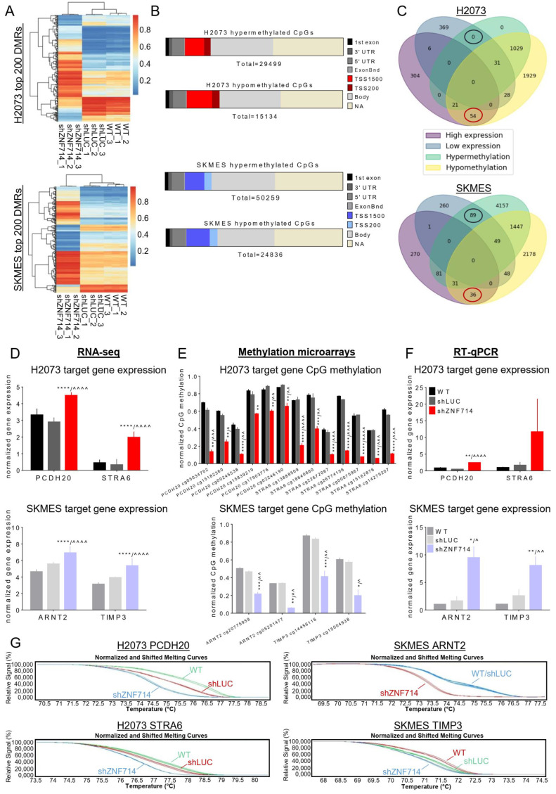 PMC10649060 – ijms-24-15530-f005