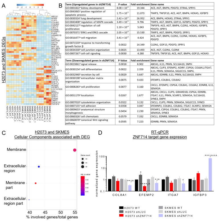 PMC10649060 – ijms-24-15530-f006