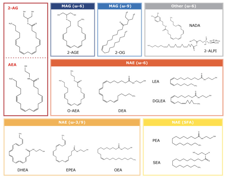 PMC10648052 – ijms-24-15829-f001