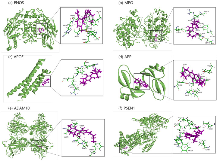 PMC10648567 – ijms-24-16013-f001