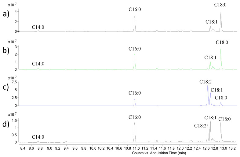 PMC10671263 – ijms-24-16026-f003