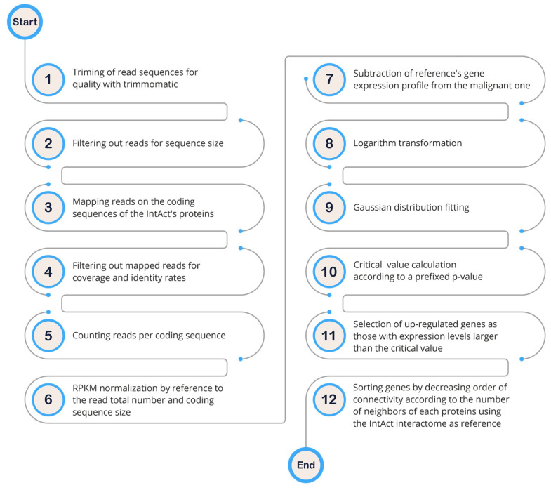 PMC10671768 – ijms-24-16098-f001