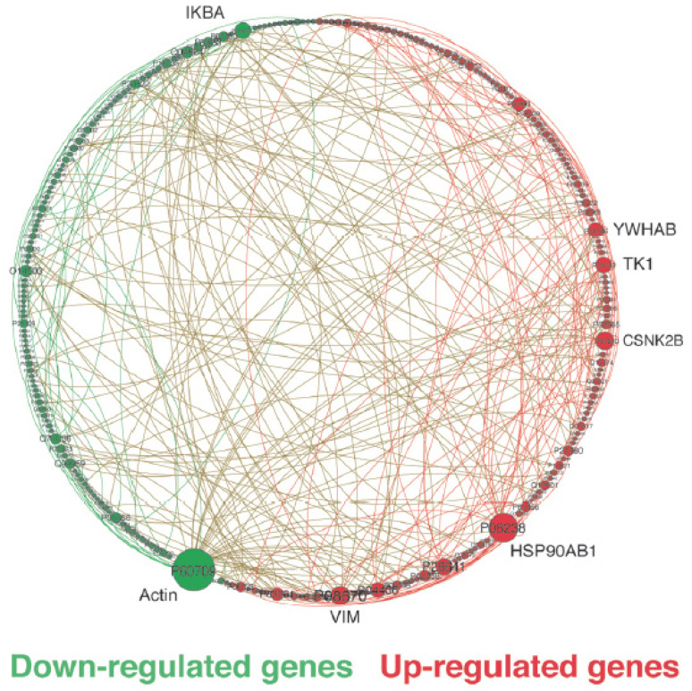 PMC10671768 – ijms-24-16098-f002