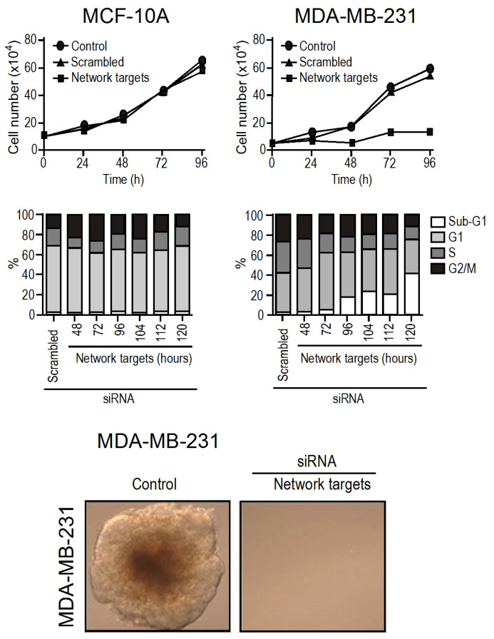 PMC10671768 – ijms-24-16098-f003