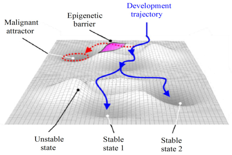 PMC10671768 – ijms-24-16098-f006