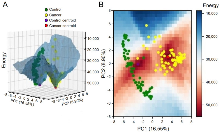 PMC10671768 – ijms-24-16098-f007