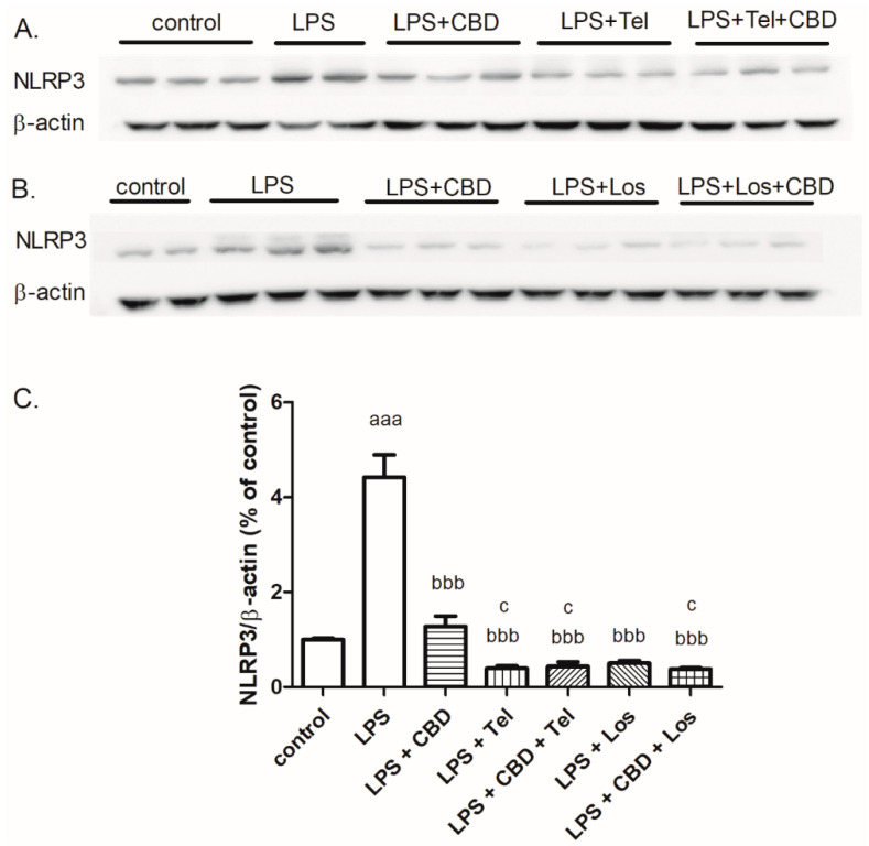 PMC10671332 – ijms-24-16254-f005