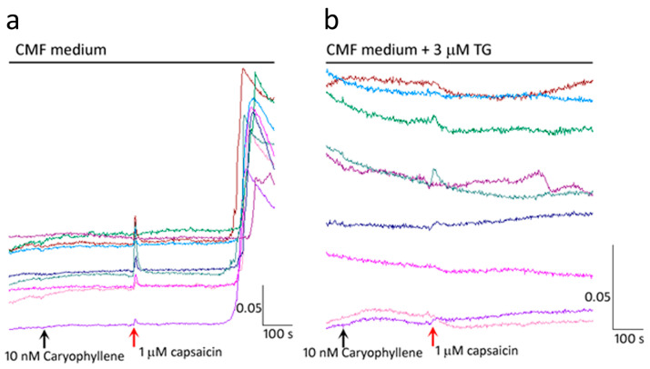 PMC10671062 – ijms-24-16340-f004