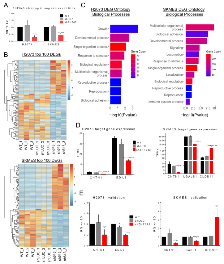 PMC10671213 – ijms-24-16380-f006