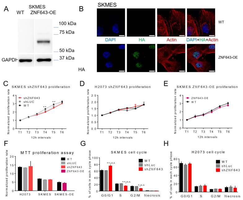 PMC10671213 – ijms-24-16380-f007