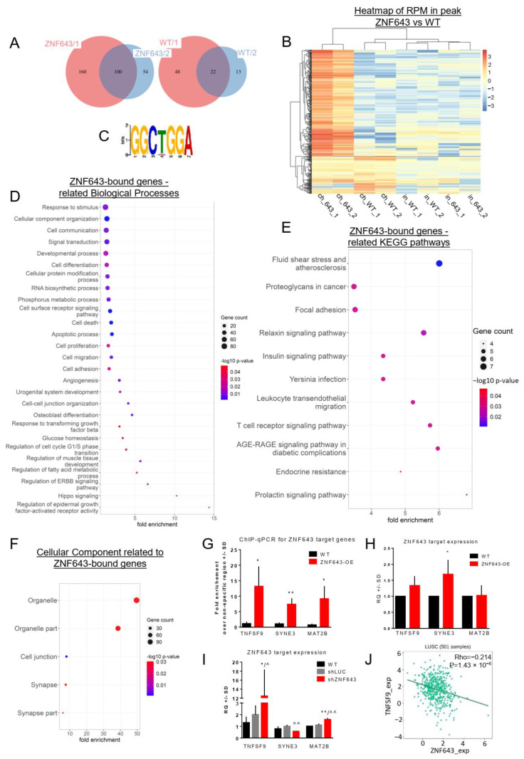 PMC10671213 – ijms-24-16380-f009