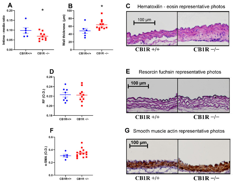 PMC10671338 – ijms-24-16429-f005