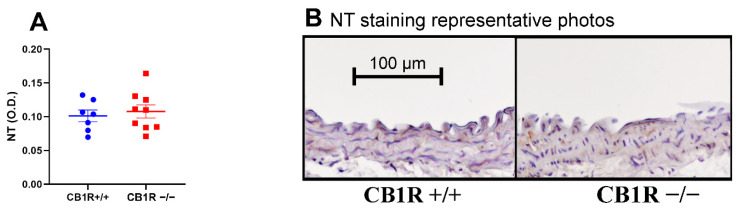 PMC10671338 – ijms-24-16429-f008