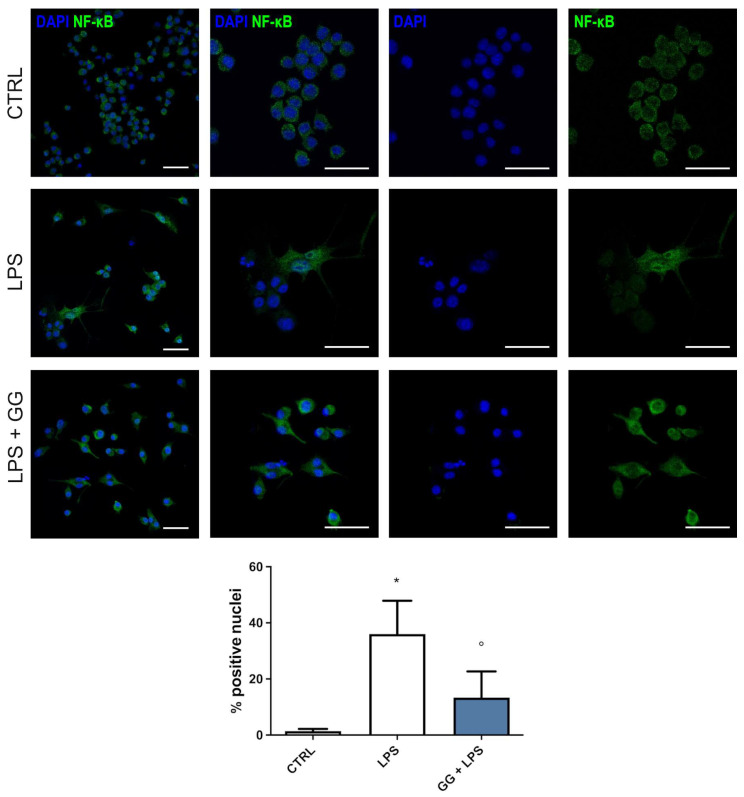 PMC10706820 – ijms-24-16601-f005