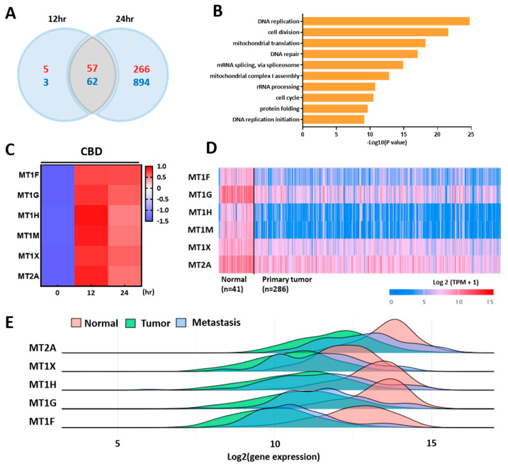 PMC10705991 – ijms-24-16621-f002