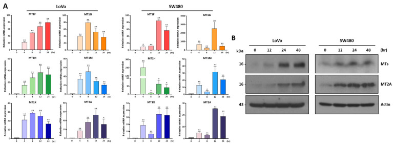 PMC10705991 – ijms-24-16621-f003