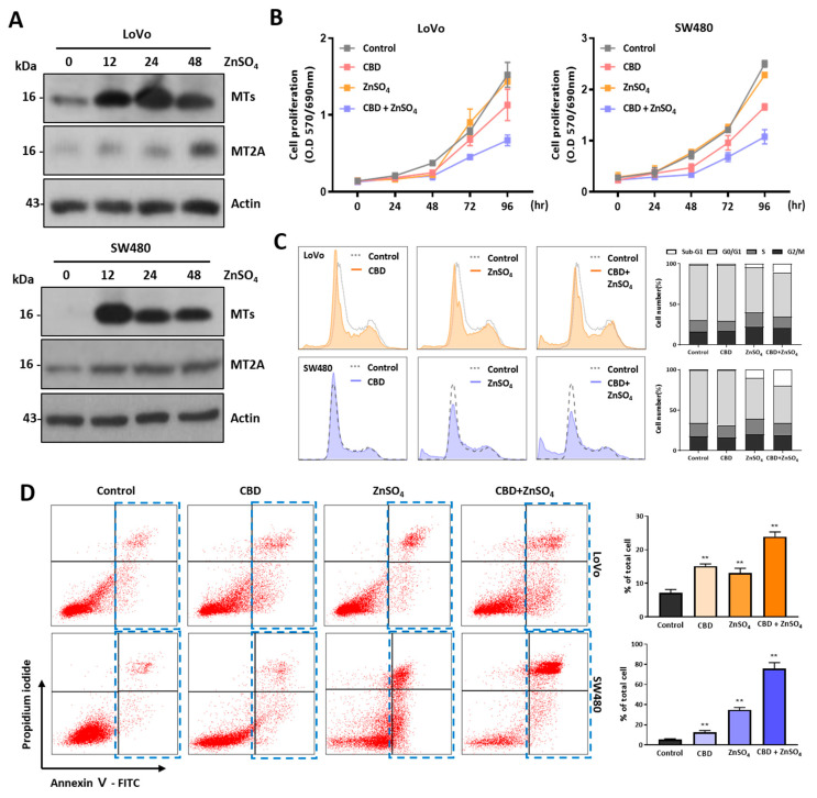 PMC10705991 – ijms-24-16621-f007