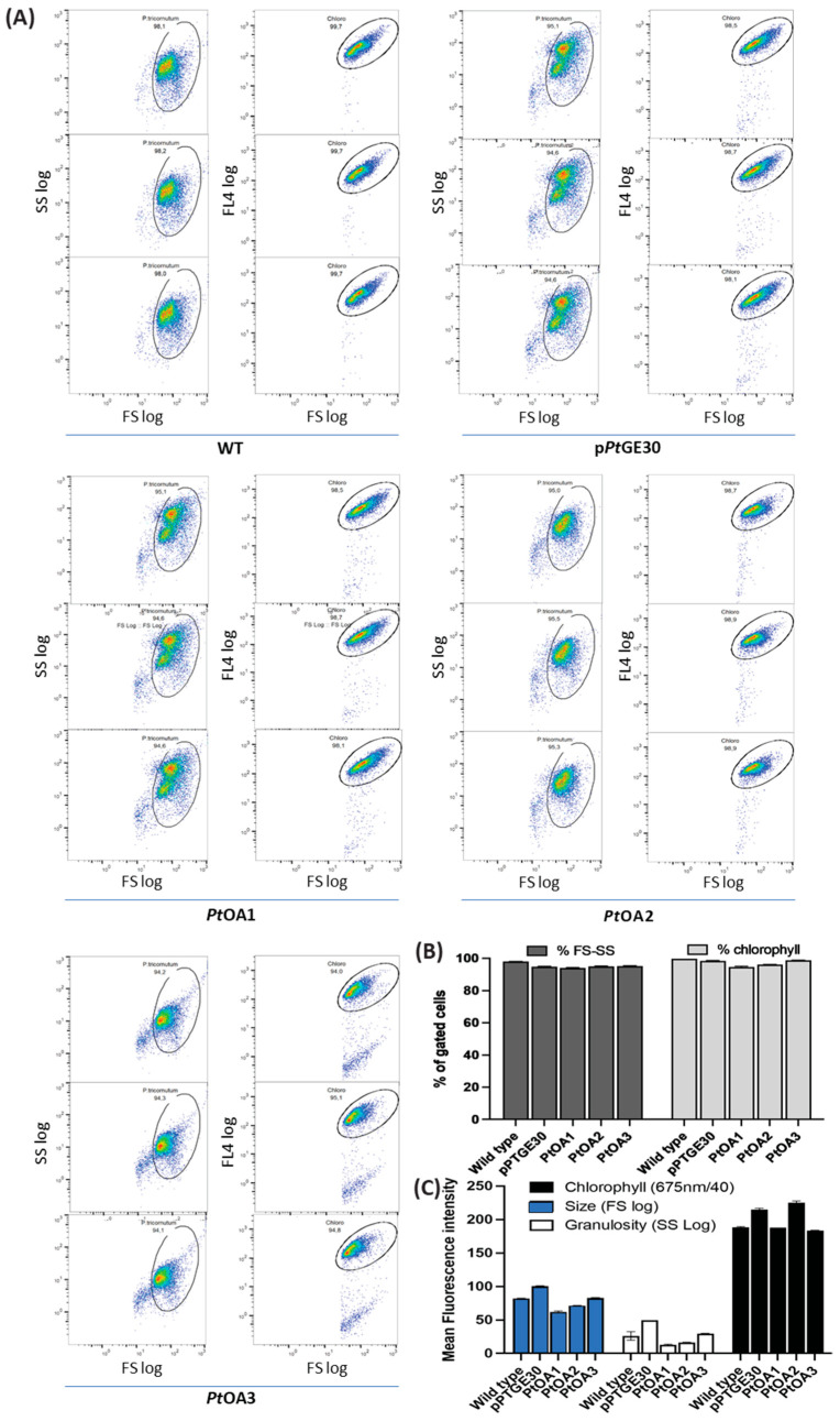 PMC10706280 – ijms-24-16624-f004