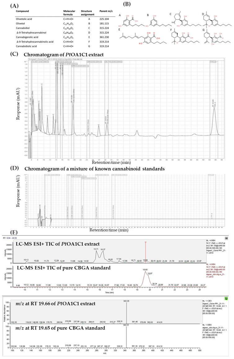 PMC10706280 – ijms-24-16624-f0A4