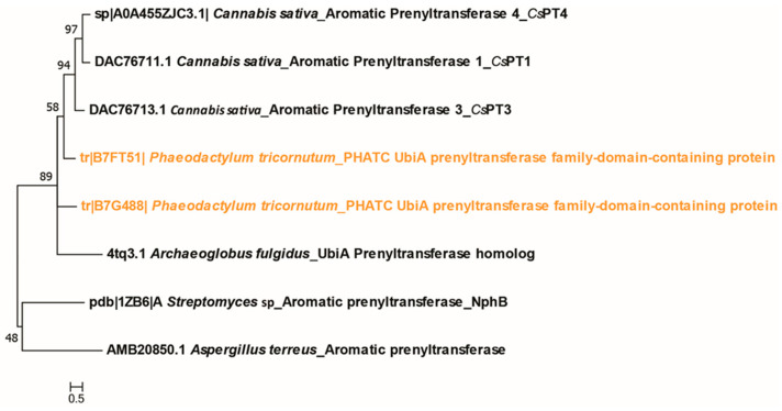 PMC10706280 – ijms-24-16624-f0A6