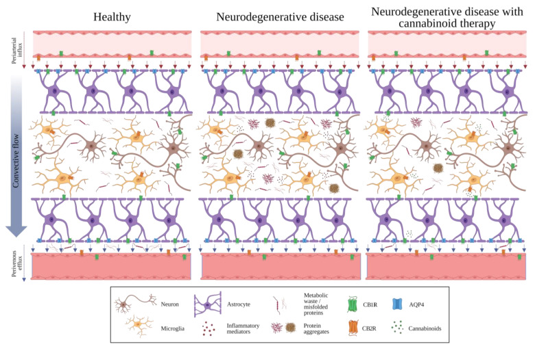 PMC10743431 – ijms-24-17458-f002