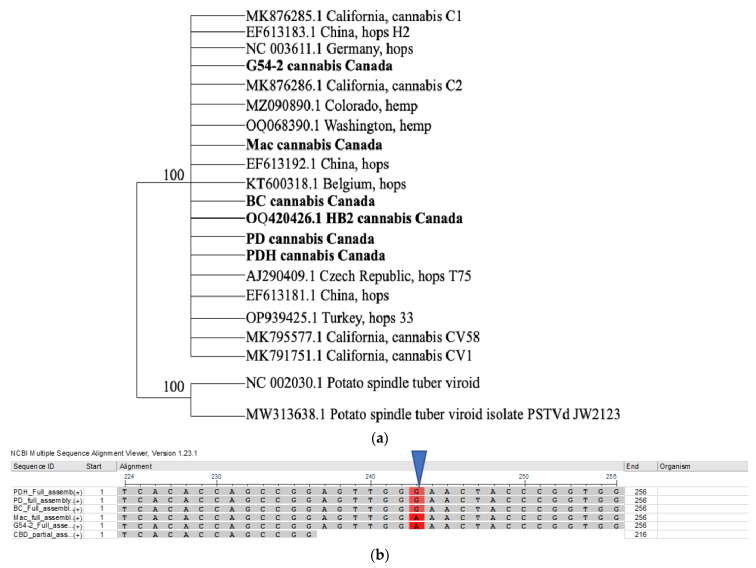 PMC10779078 – ijms-25-00014-f011