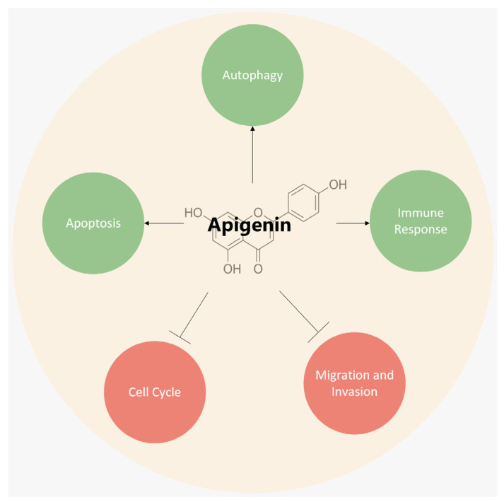 PMC10778966 – ijms-25-00251-f002