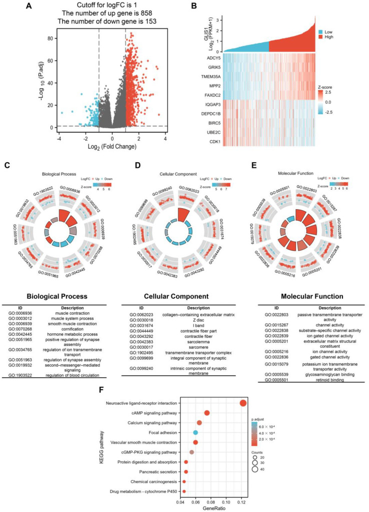 PMC10779070 – ijms-25-00489-f004