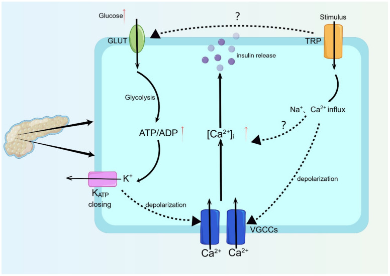 PMC10815096 – ijms-25-00692-f002