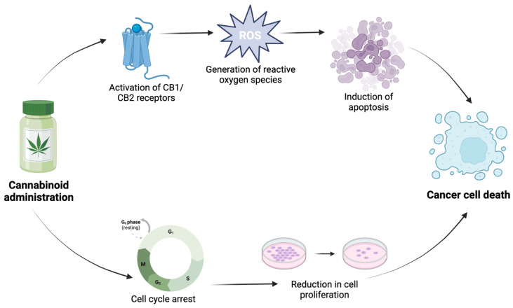 PMC10815411 – ijms-25-00872-f001