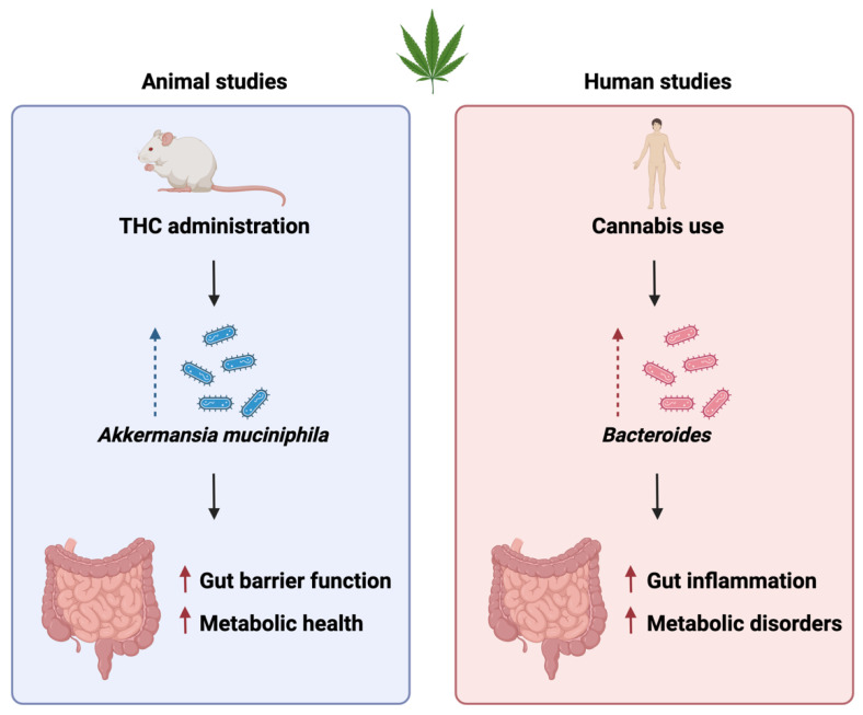 PMC10815411 – ijms-25-00872-f002