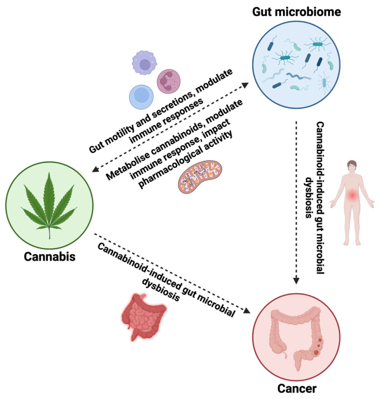 PMC10815411 – ijms-25-00872-f004