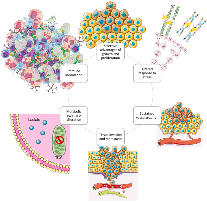 PMC10855826 – ijms-25-01371-f004