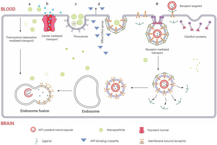 PMC10855826 – ijms-25-01371-f006