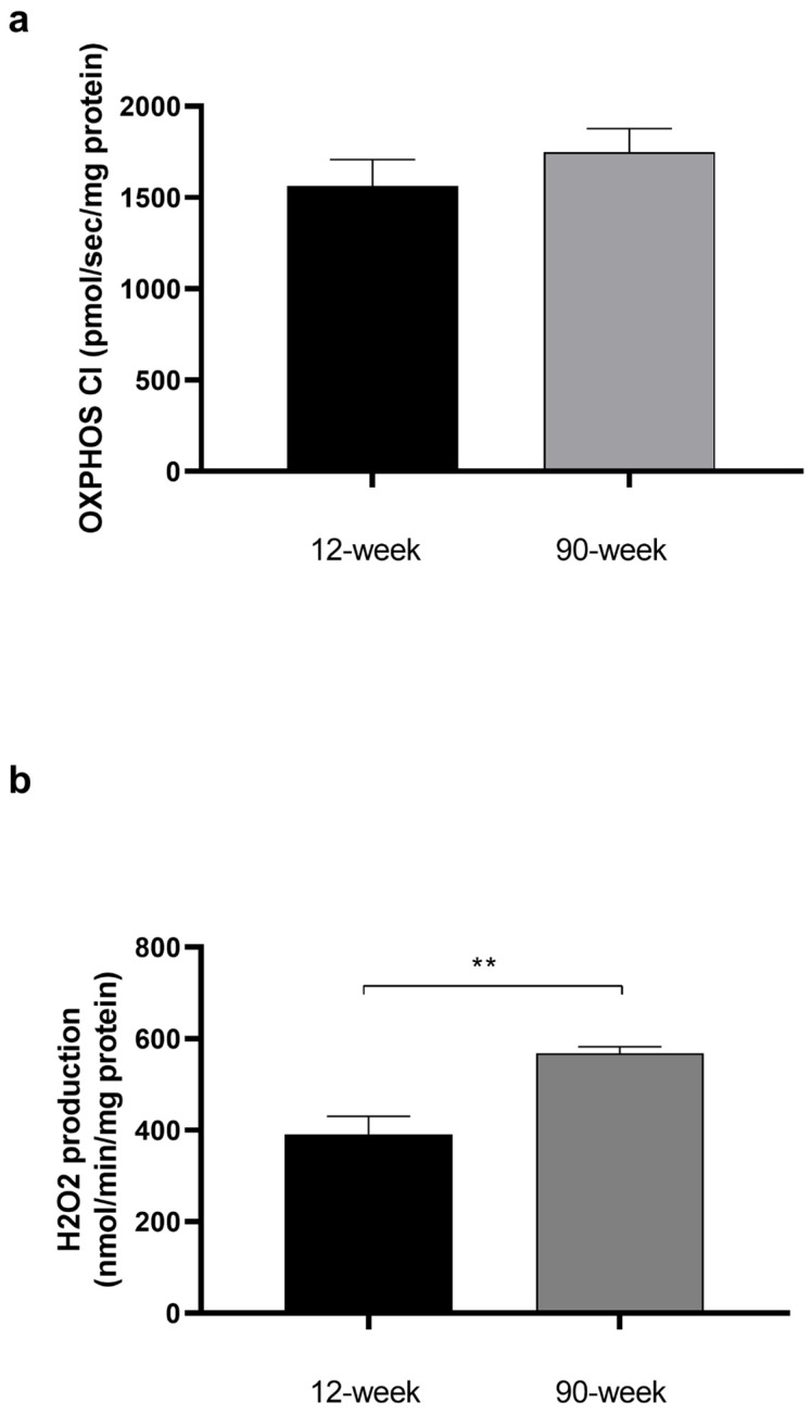 PMC10855679 – ijms-25-01835-f001