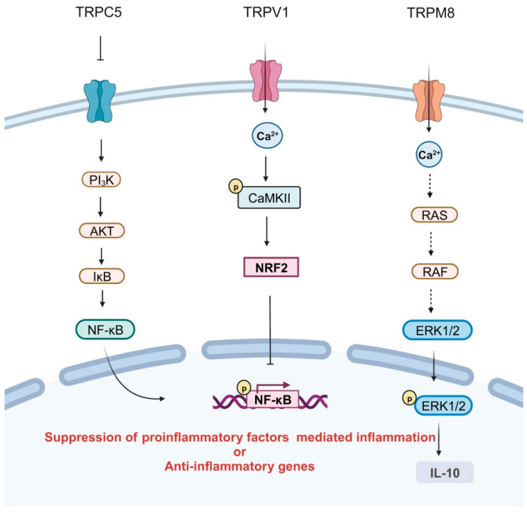 PMC10932085 – ijms-25-02719-f002