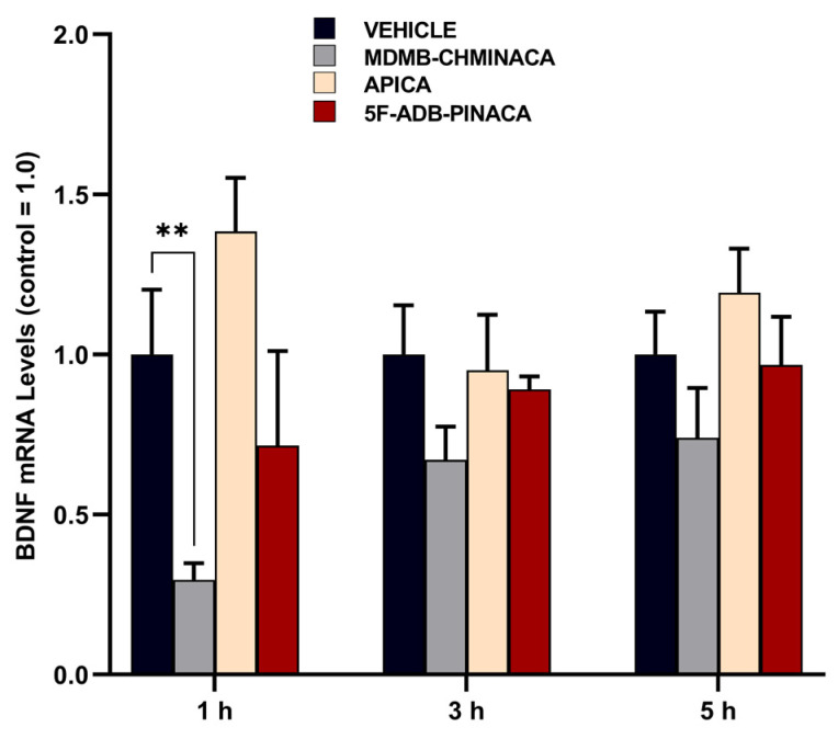 PMC10969889 – ijms-25-03083-f006
