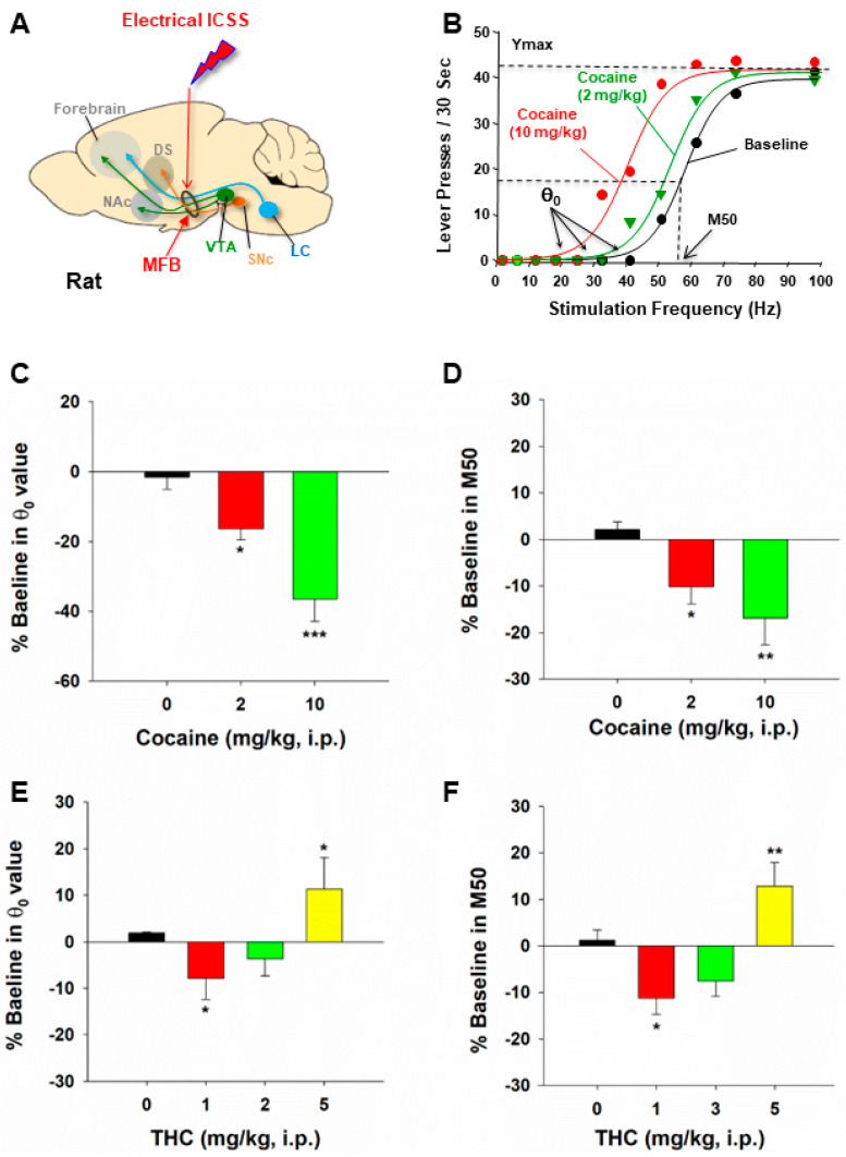 PMC10970671 – ijms-25-03455-f001