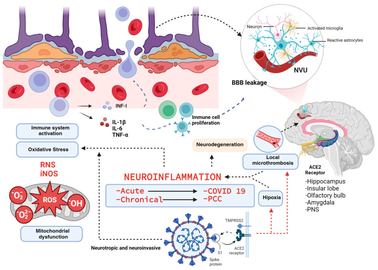 PMC11012123 – ijms-25-03805-f001