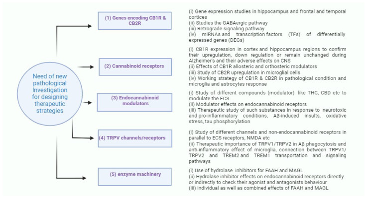 PMC11012768 – ijms-25-04050-f003