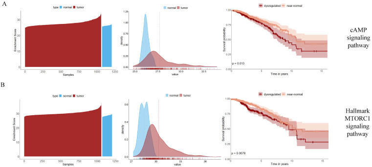 PMC11050713 – ijms-25-04411-f003