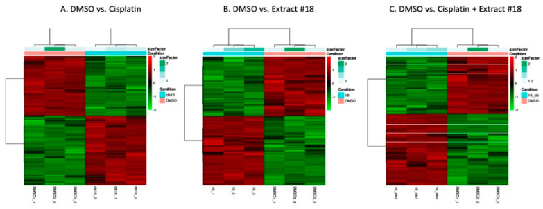 PMC11050262 – ijms-25-04439-f003